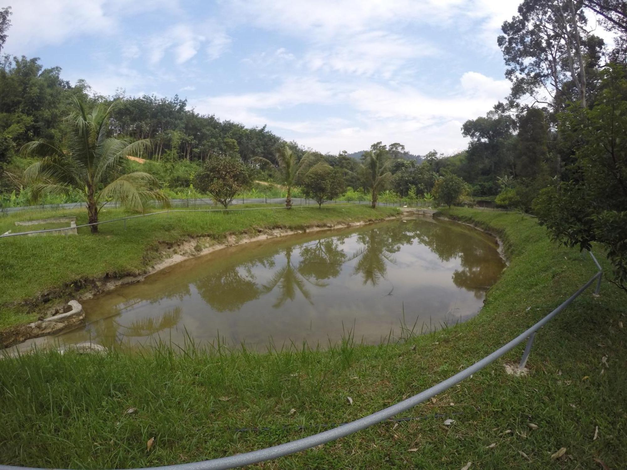 Kampong Masjid  Santai De Lui Resorts מראה חיצוני תמונה